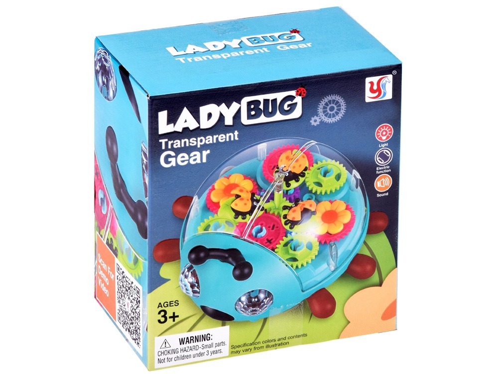 lady lady